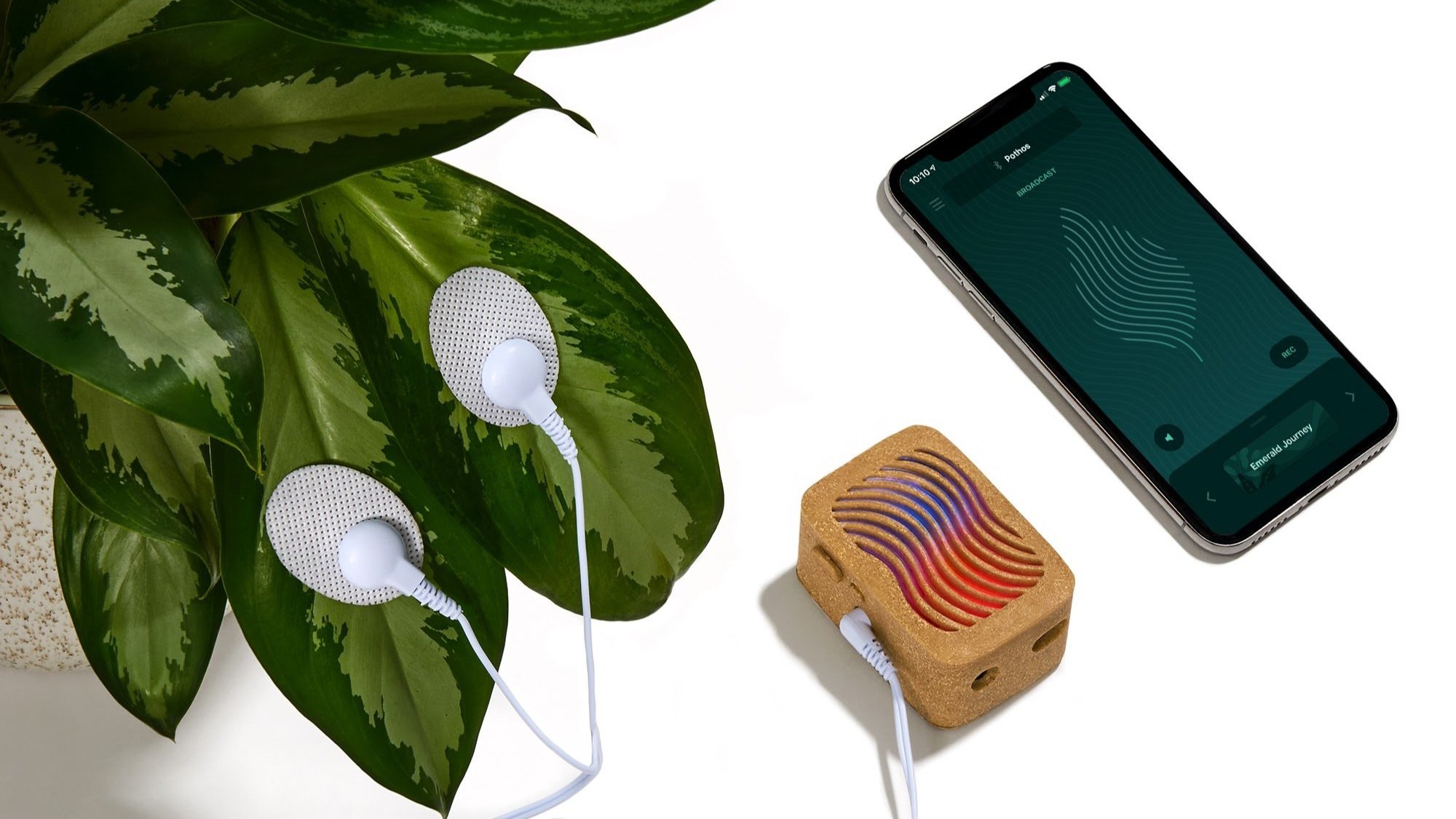 PlantWave 植物音楽再生デバイス Buy the Original PlantWave Device | PlantWave